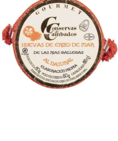 Huevas de erizo de mar de las Rías Biaxas